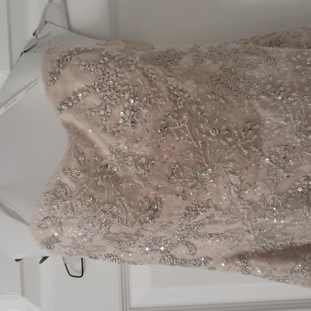 champagne colored Wedding dress - Picture 4 of 7